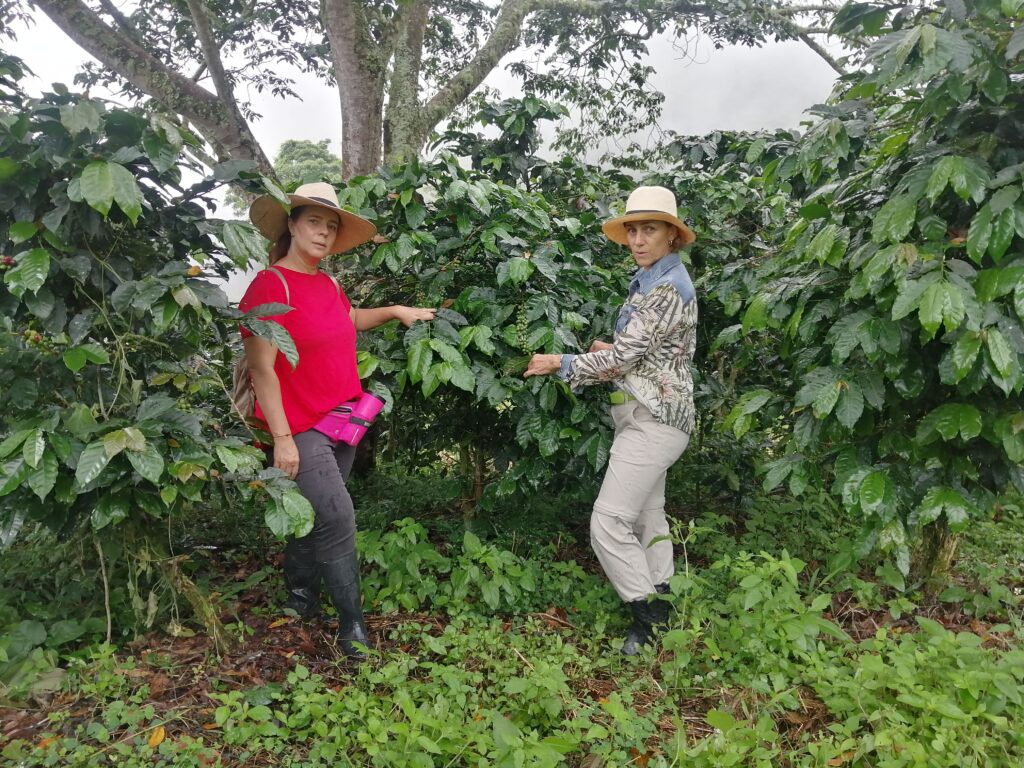 Mujeres caficultoras de Kirsten Café en Ebéjico